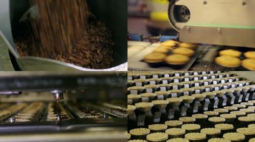 糕点饼干生产流水线制作_食品加工厂