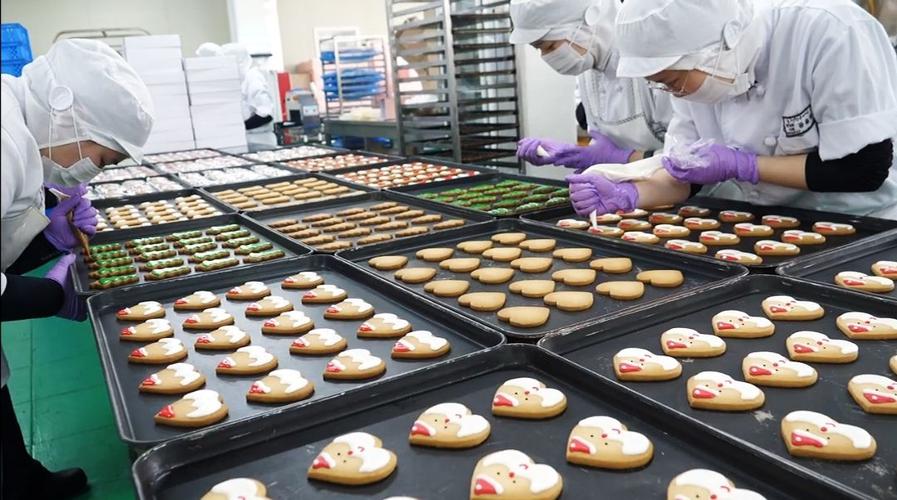 67关注大型食品加工厂,德式圣诞面包制作过程 发布